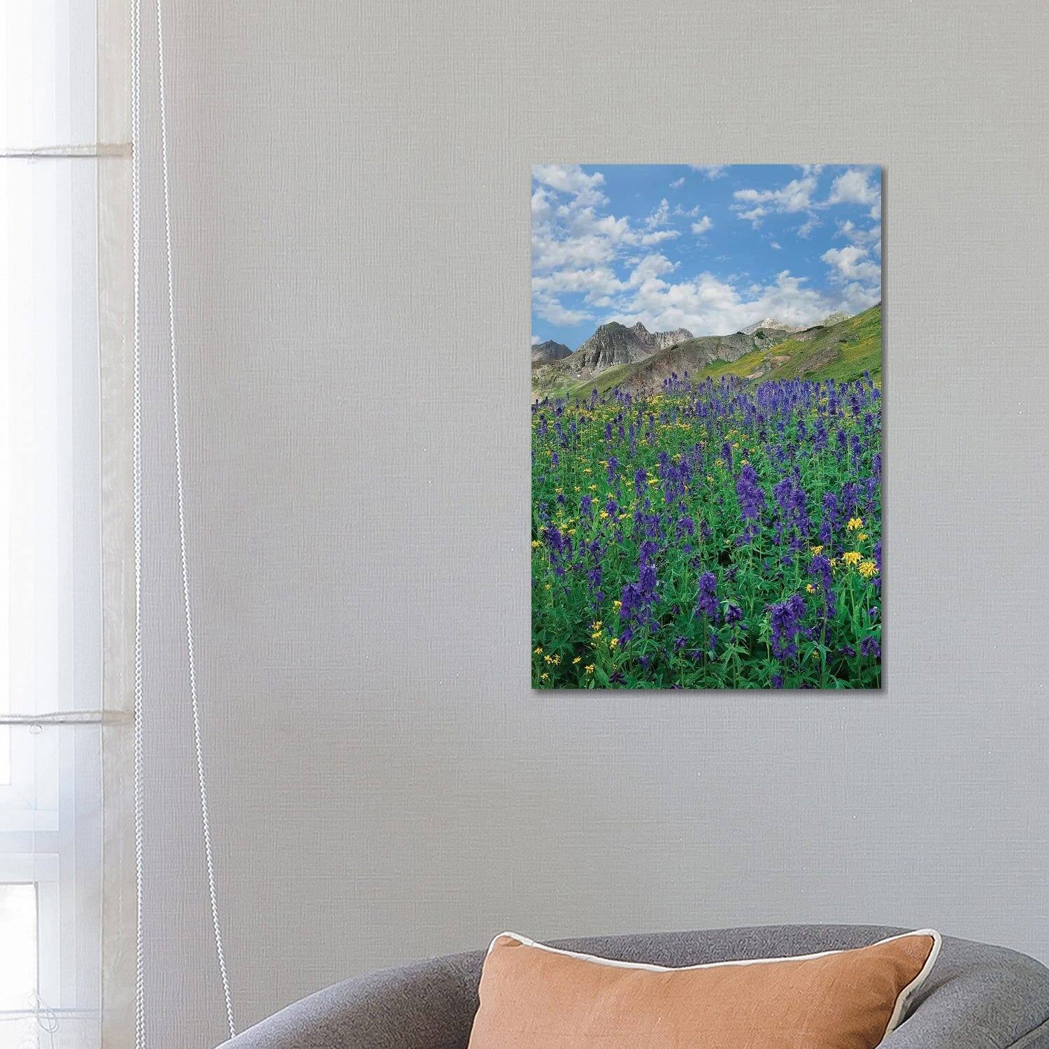 iCanvas "Larkspur, American Basin, San Juan Mts, Colorado" by Tim